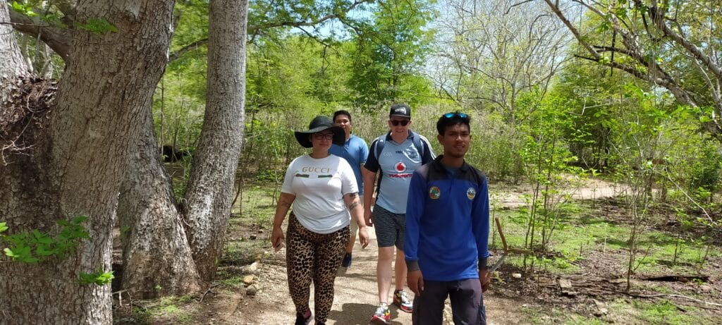 Trekking Komodo Daily Open Trip